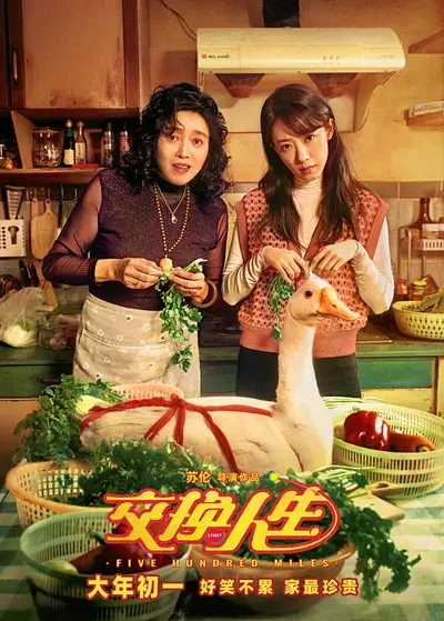 我与自己交换人生