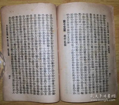 贵妃母子民国文生存手札