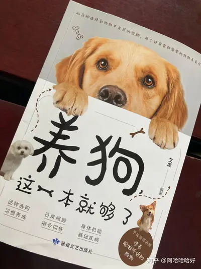 我养狗是为了拯救世界