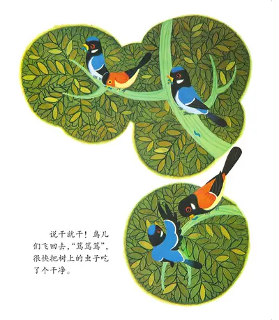 鸟爷的悠闲生活