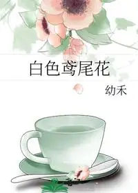 白色鸢尾花