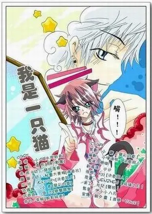 开局我是一只猫