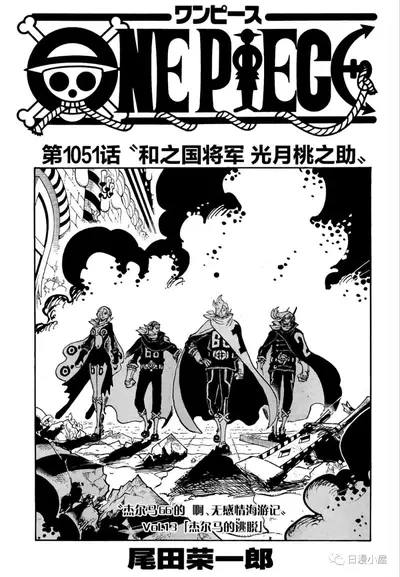 海贼之忍者之路