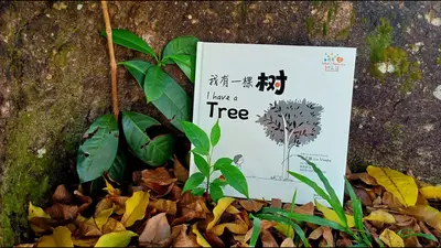 我有一颗噬魂树