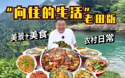 农家厨女套路深