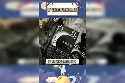 那个大佬回来了