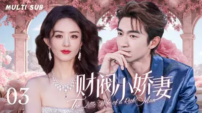 隐婚甜宠：大财阀的小娇妻