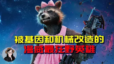 美漫之火箭浣熊