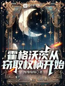 从霍格沃兹开始掌控雷电