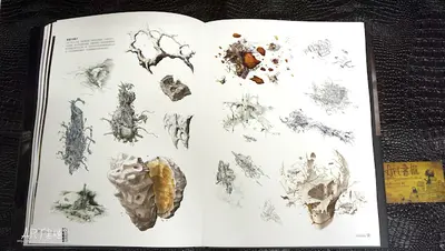 EVE：开局一座空间站